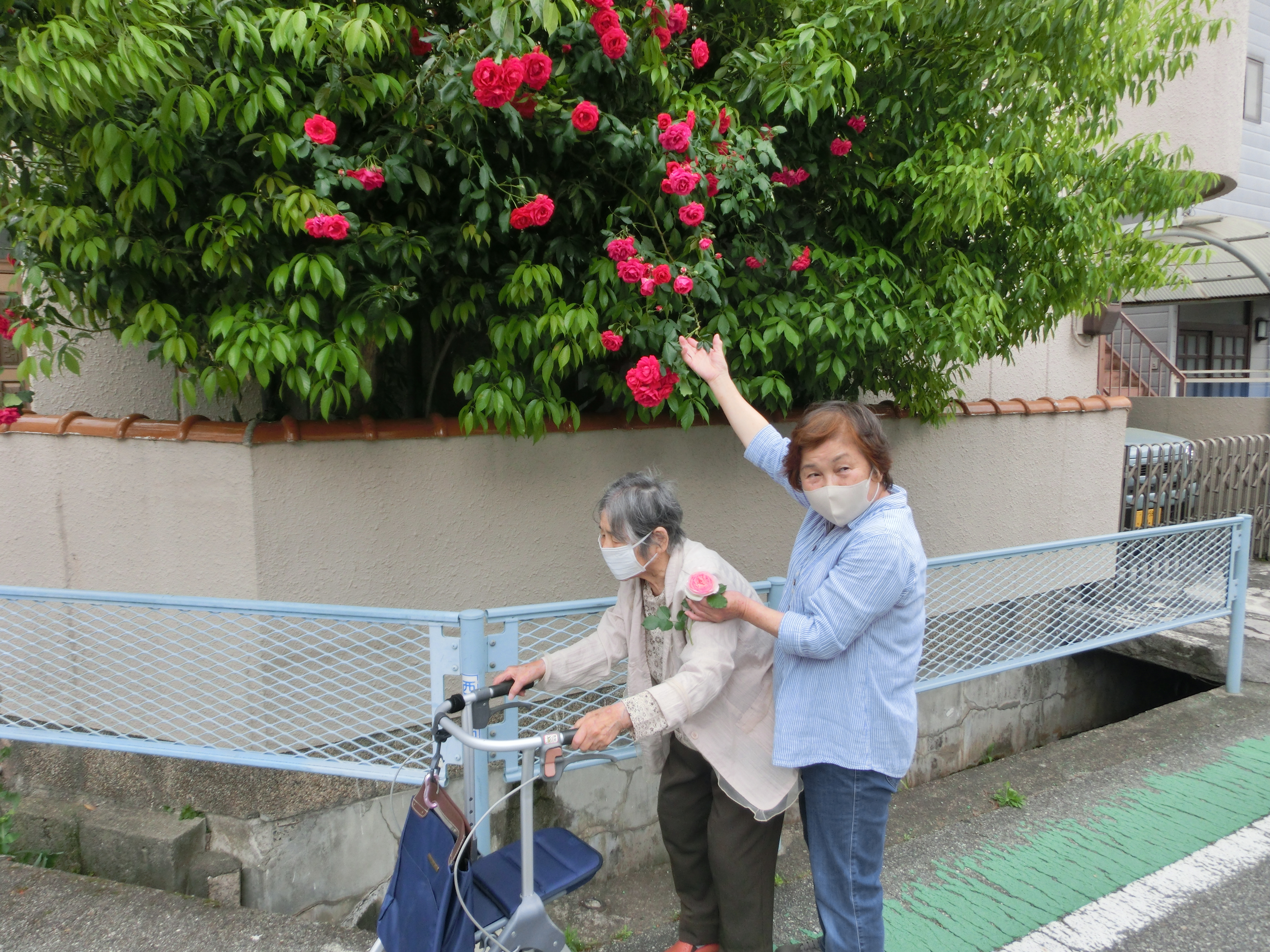 兵庫県西宮市柳本町のデイサービスこんぺい灯。個性を尊重し、ご利用者が自身でやりたいことや好きなことを楽しみながら行える地域密着型通所介護施設（小規模デイサービス）です。求人募集も行っています。